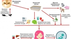 Písanie mačky: ako rozpoznať a prevenciu